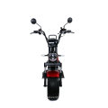 Wholesale Removable Battery Mobility Electric Bicycle